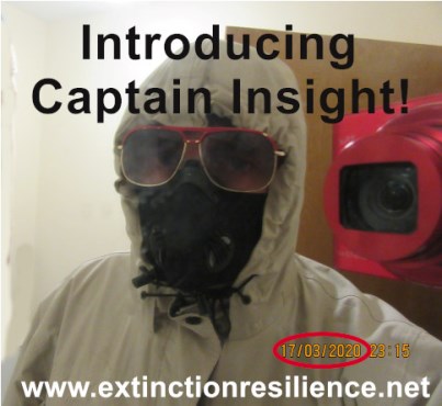 CaptainInsight1 WebMedia2